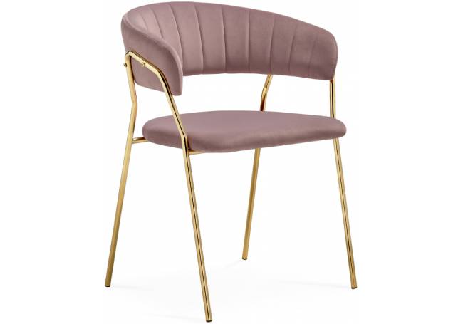 Kamelia светло-фиолетовый / золотой