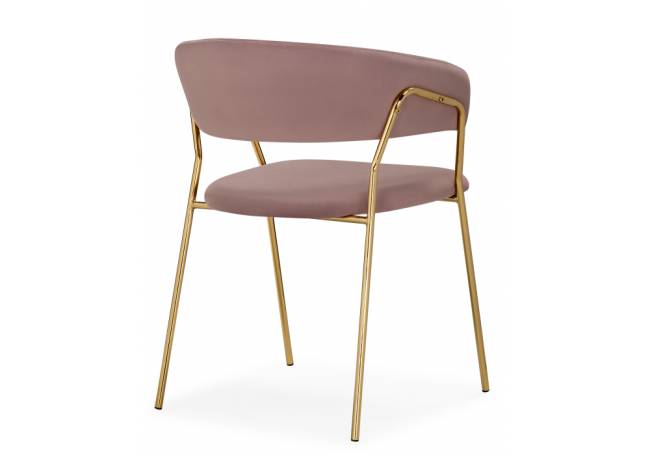 Kamelia светло-фиолетовый / золотой